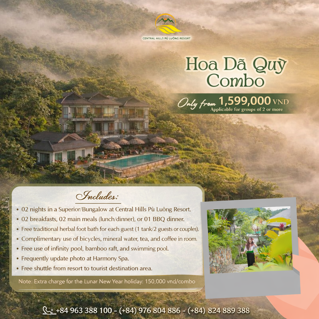 “HOA DÃ QUỲ” COMBO